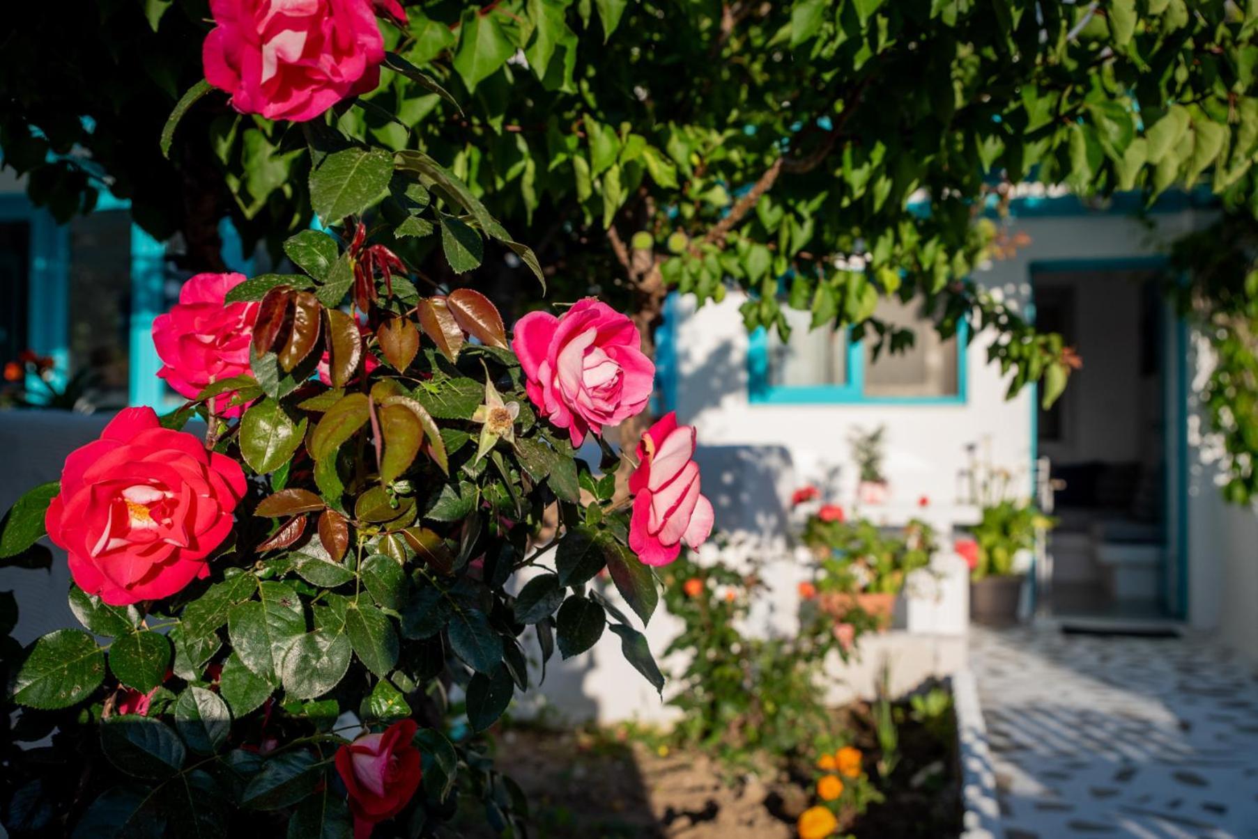 Azzurro Naxos, Azzurro I - Azzurro II - Azzurro III Apartment Naxos City Exterior photo